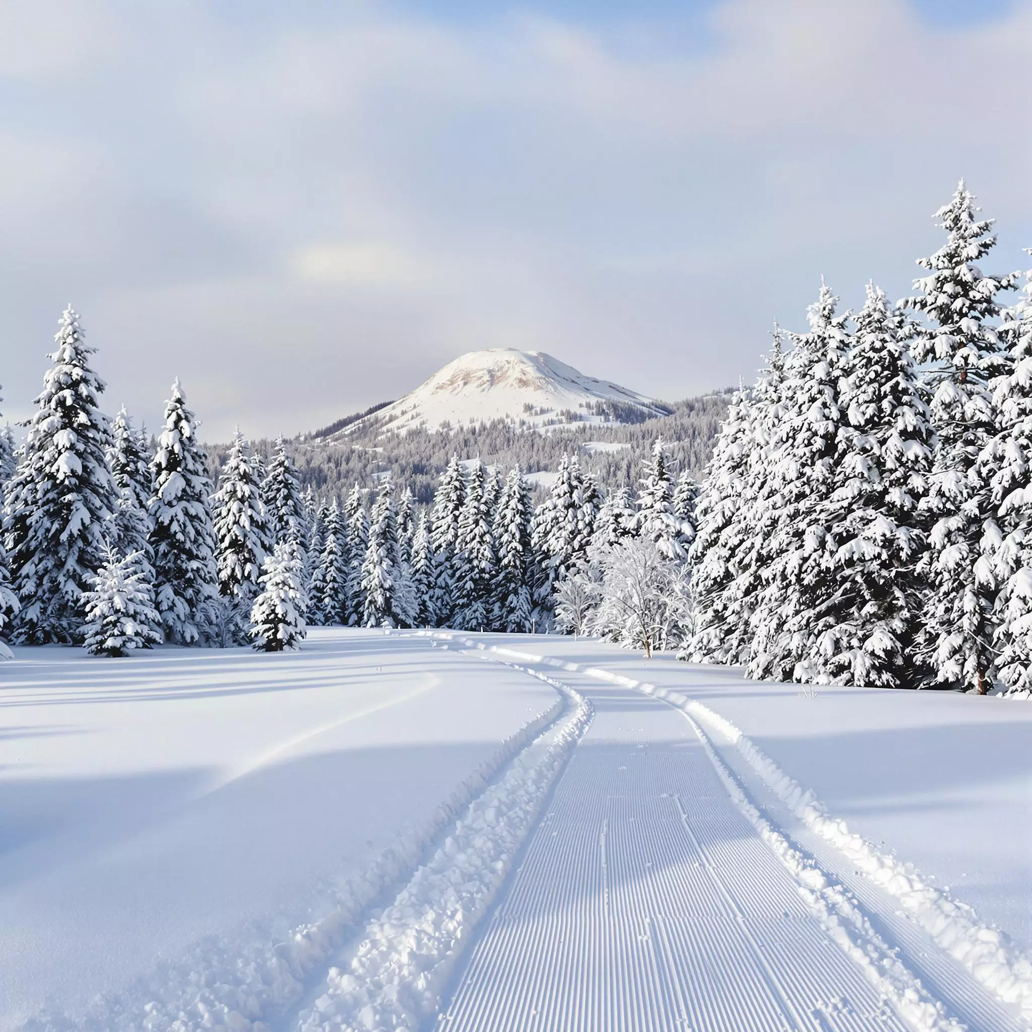Langlauf im Harz - Winter aktiv genießen