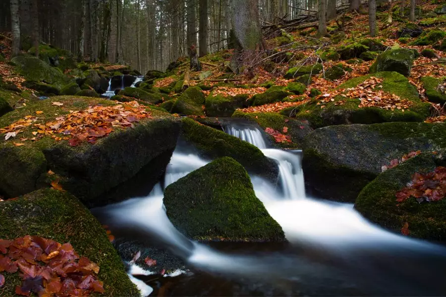 Bayerischer Wald Nationalpark Sehenswürdigkeiten