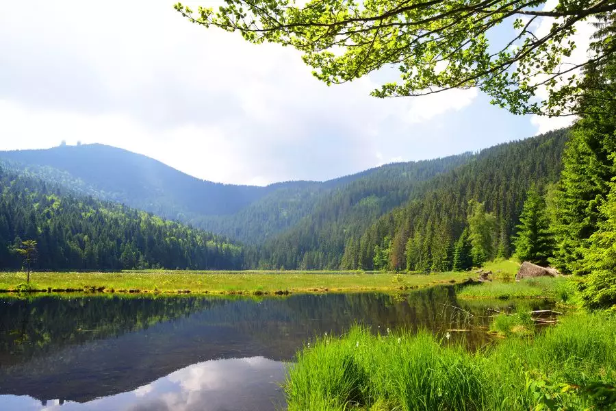 Wunderbare Orte - Lusen - Falkenstein