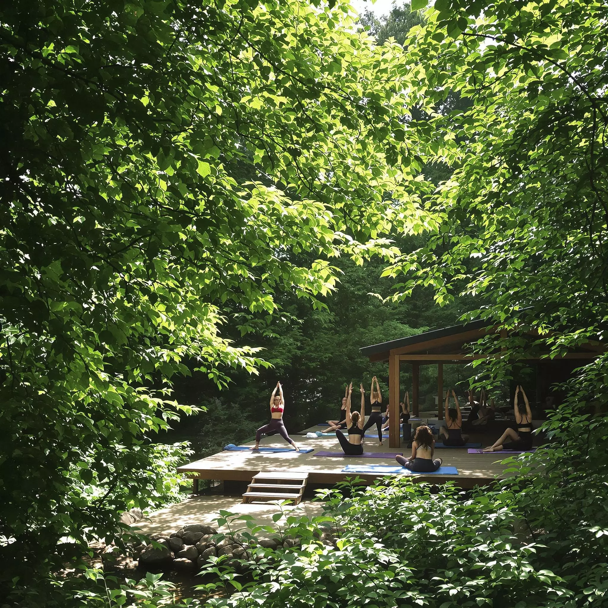 Entspannungsoasen im Bayerischen Wald entdecken