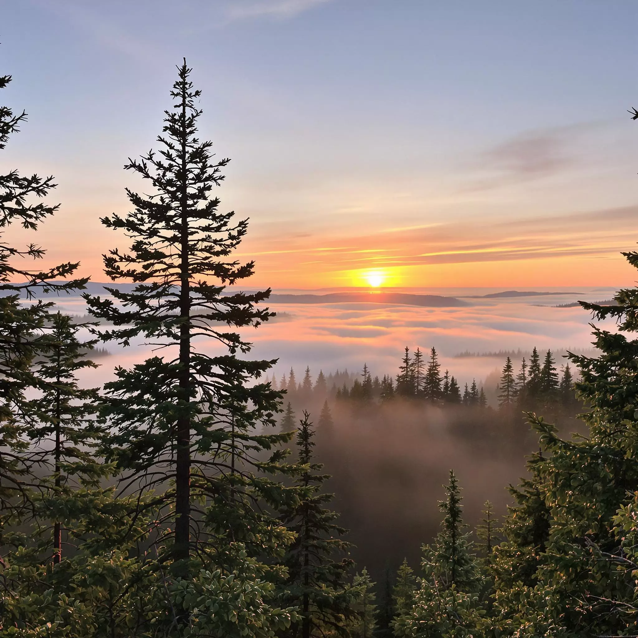 Entspannen und Erholen: Dein Wellnessurlaub im Schwarzwald