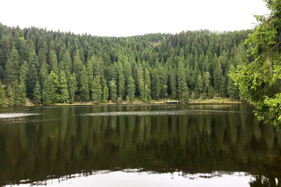 Wunderbare Orte im  mummelsee entdecken