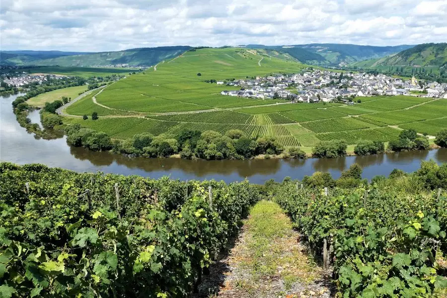 Sightseeing - Hangviadukt Pünderich - Wehlener Son