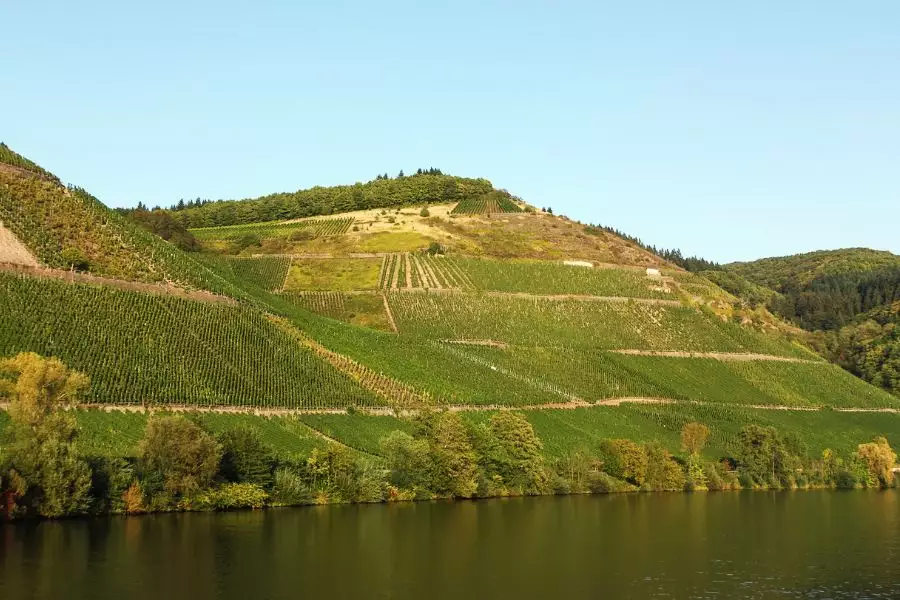 Wine and Dine - Schiefersteillagen - Flusskreuzfahrten