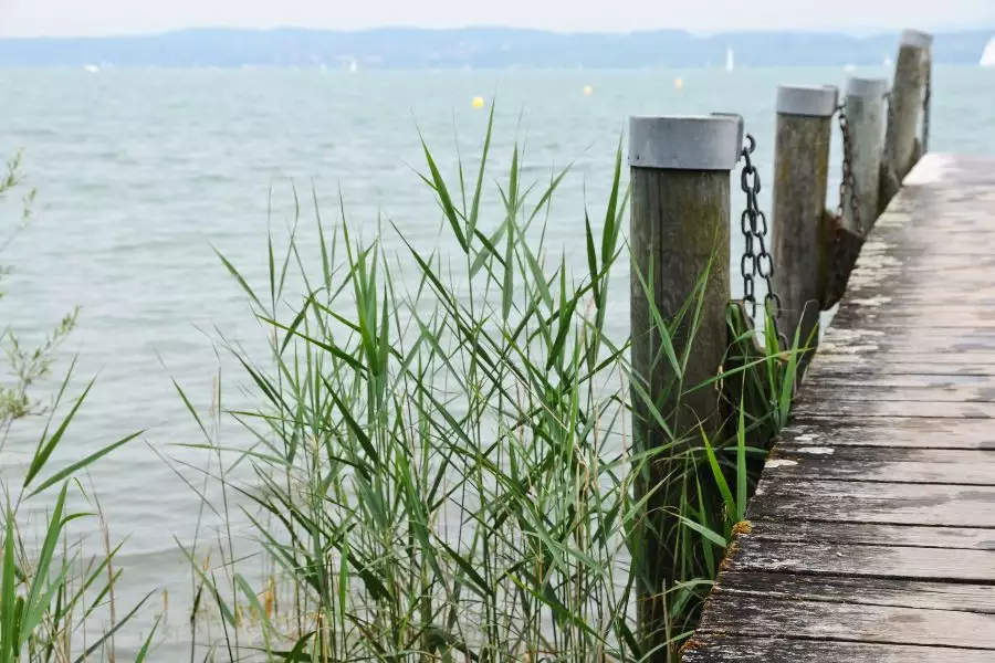 Kunst und Kultur am Bodensee