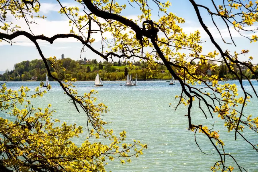 Segeln auf dem Bodensee - Hass und Liebe auf hoher See