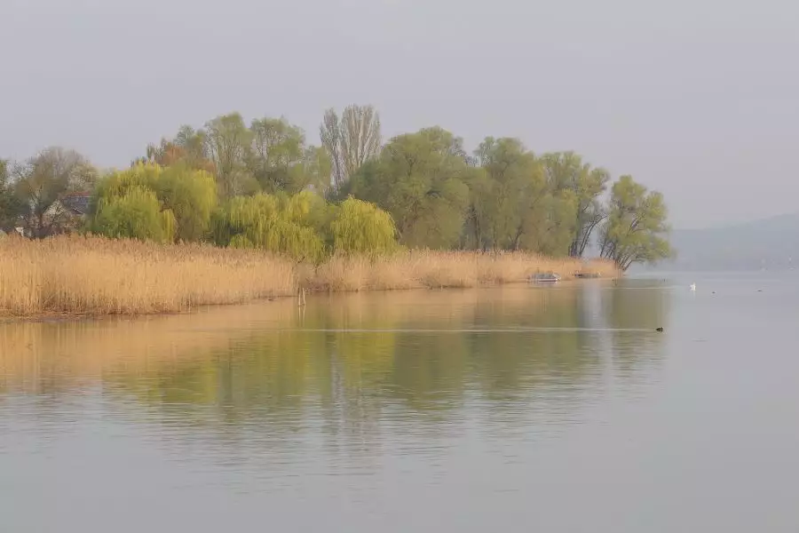 Wassersport - Sonnenbaden - Segeln