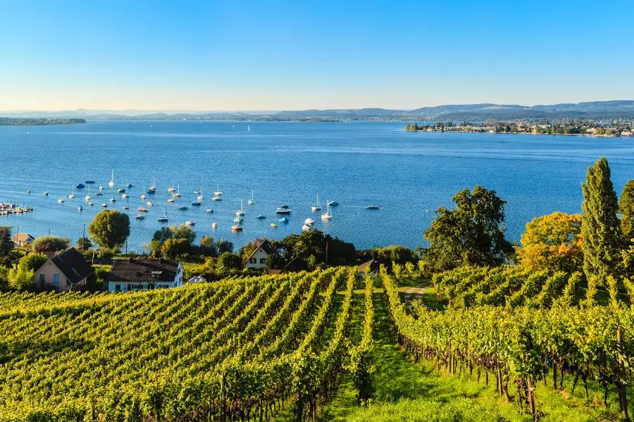 Wein- und Wellnesstraum am Bodensee: Ein Paradies für Genießer