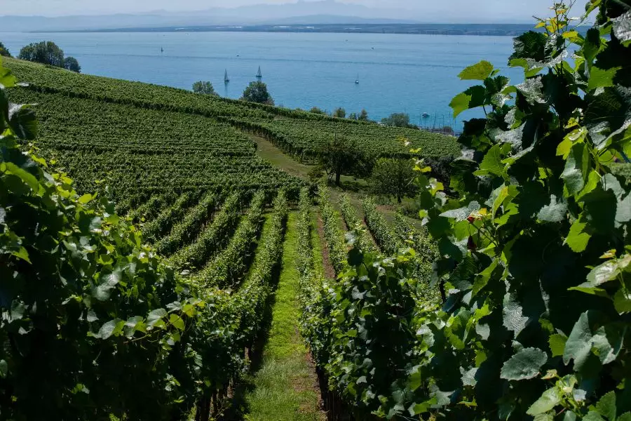 Wunderbare Orte - Bodensee-Schifffahrt - Überlingen