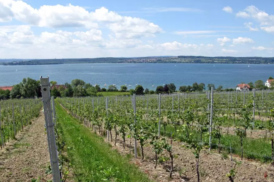 Bodensee-Wasserfälle und ihre faszinierende Schönheit