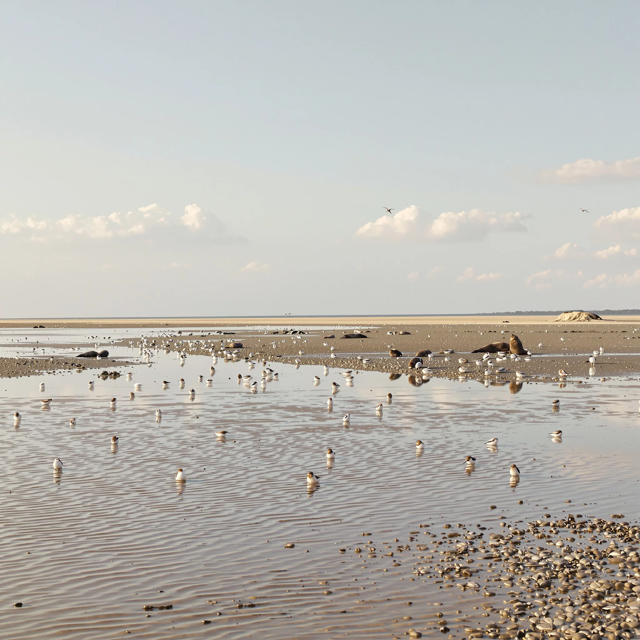 Vom Halligzauber bis zum Küstendorf: Wunderbare Entdeckungen