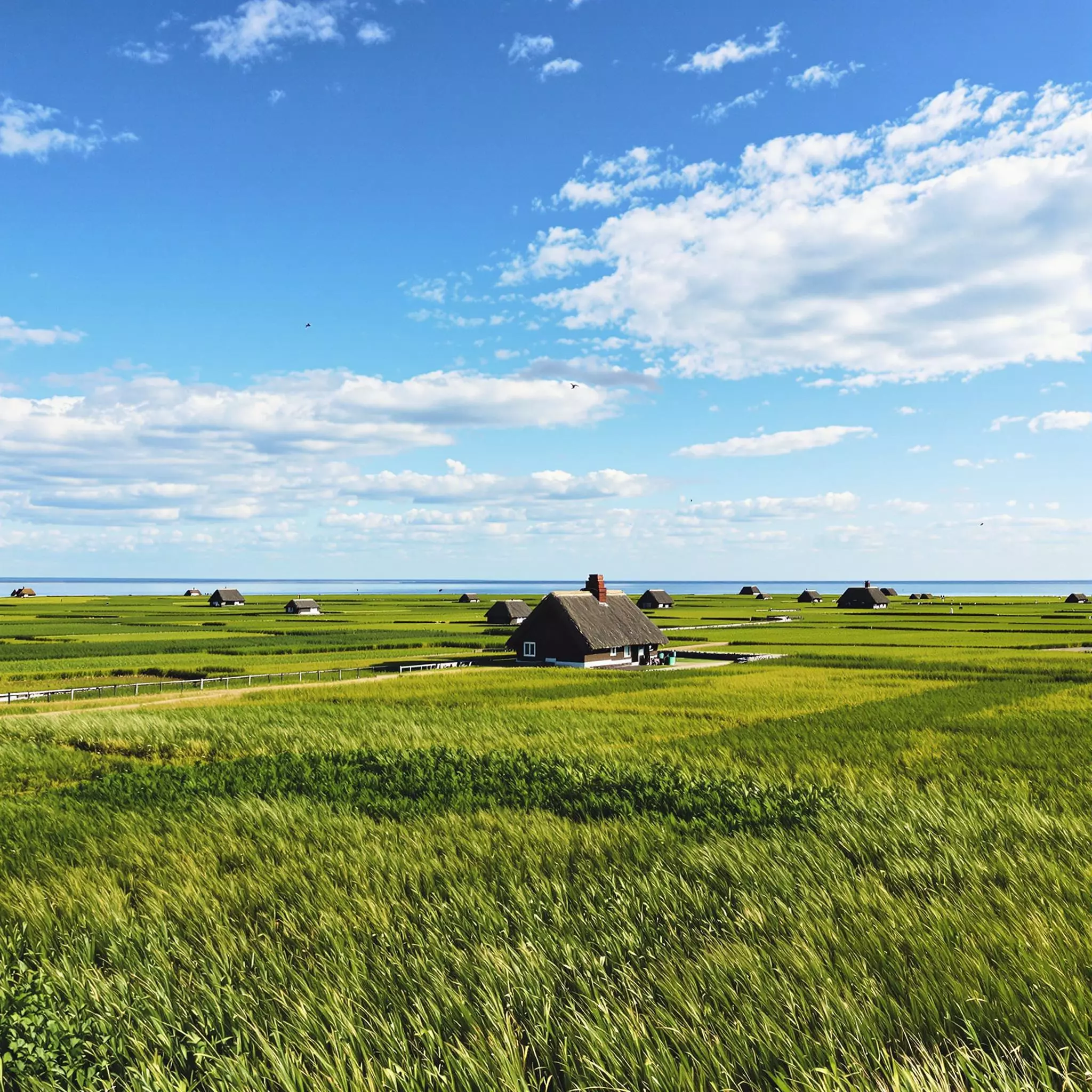 Halligen - Einzigartige Inselwelt im Nordfriesland
