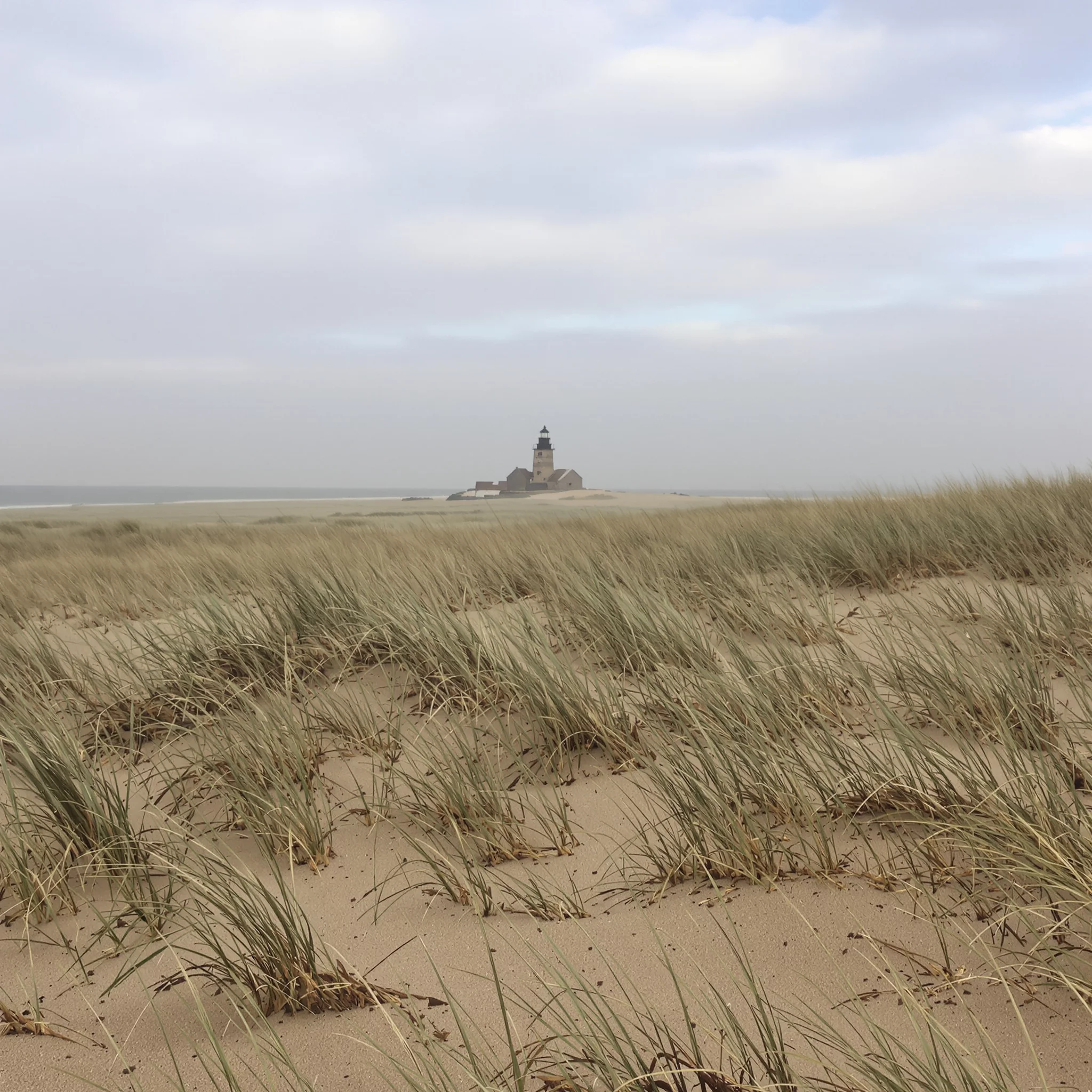 Zwischen Hafen und Horizont: Sehenswertes an der Nordsee-Küste