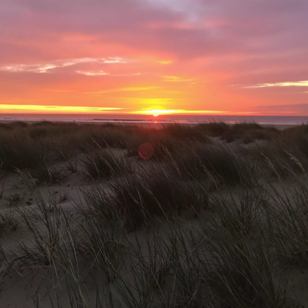 Föhr an der Nordsee - die grüne Insel