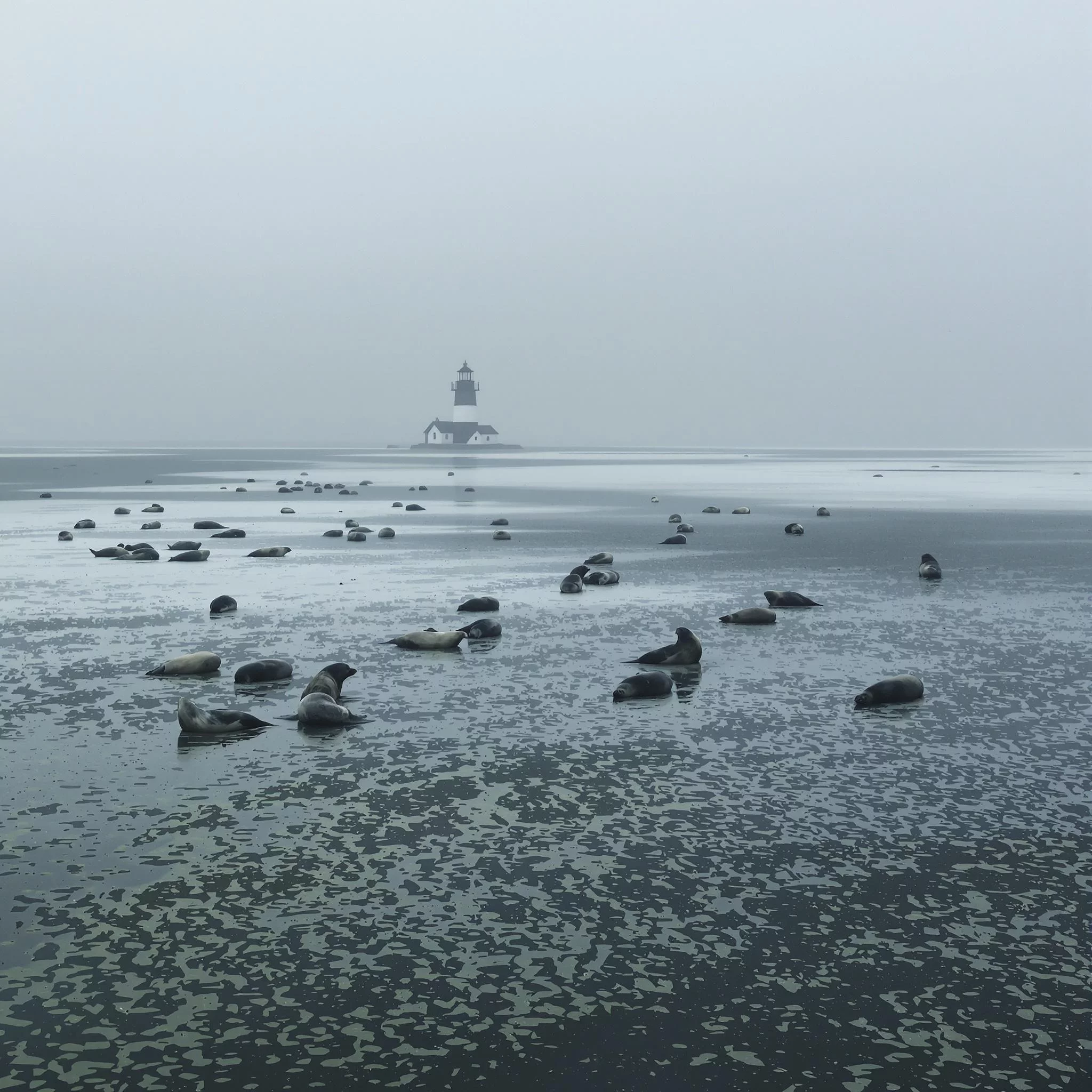 Geheimtipps an der Nordsee: Diese Inseln kennen nur wenige
