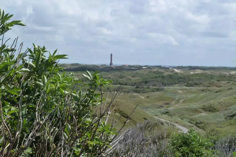 Inseln und mehr - Langeoog - Spiekeroog