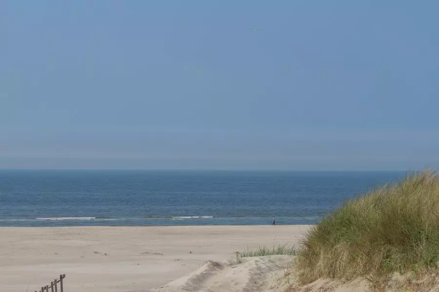 Der ökologische und wirtschaftliche Nutzen von Wattwanderungen in der Nordsee