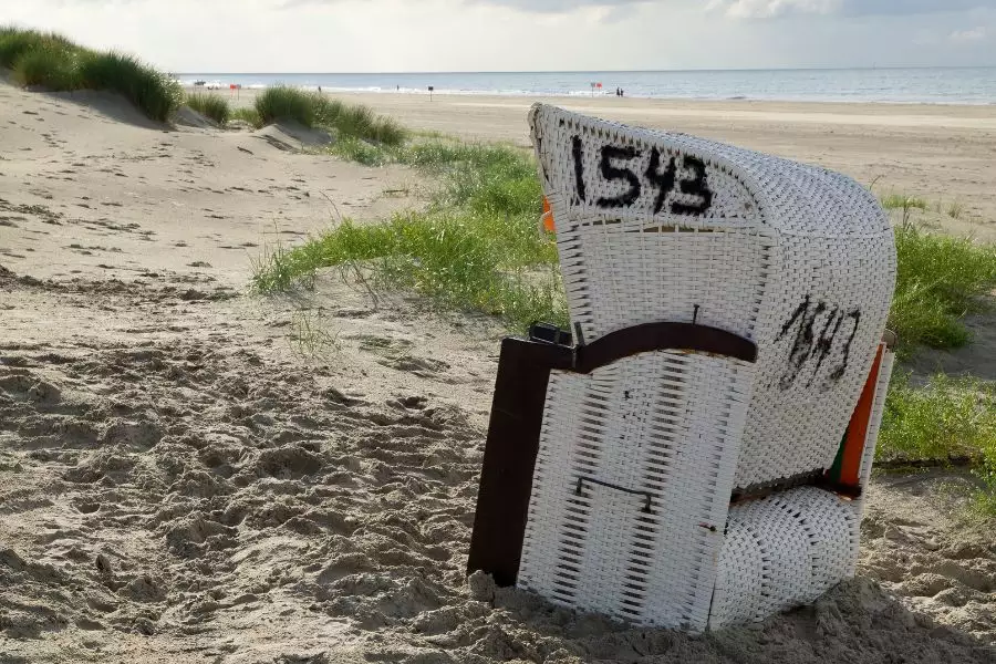 Die vielfältige Tierwelt der Nordseeinseln