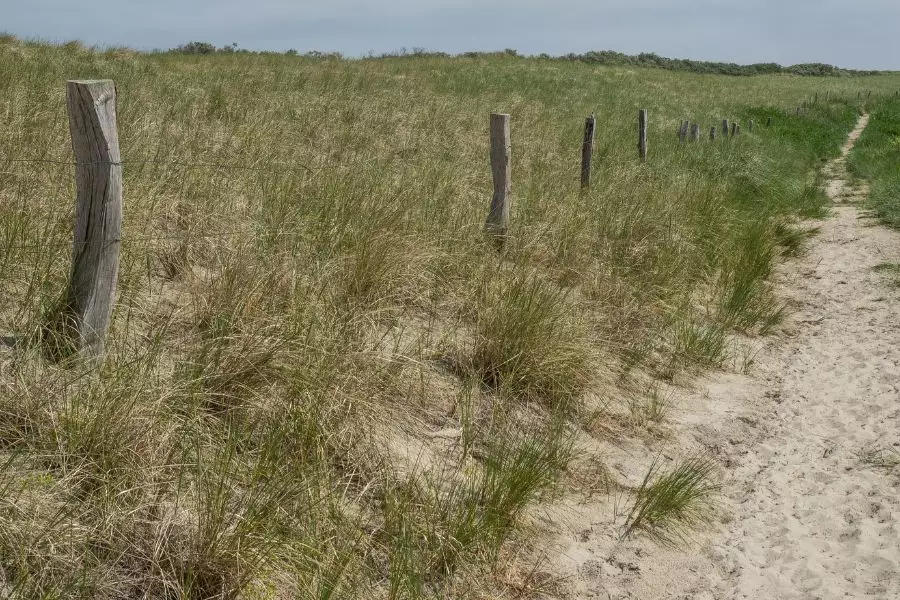 Kulinarische Entdeckungen in den Nordseeinseln