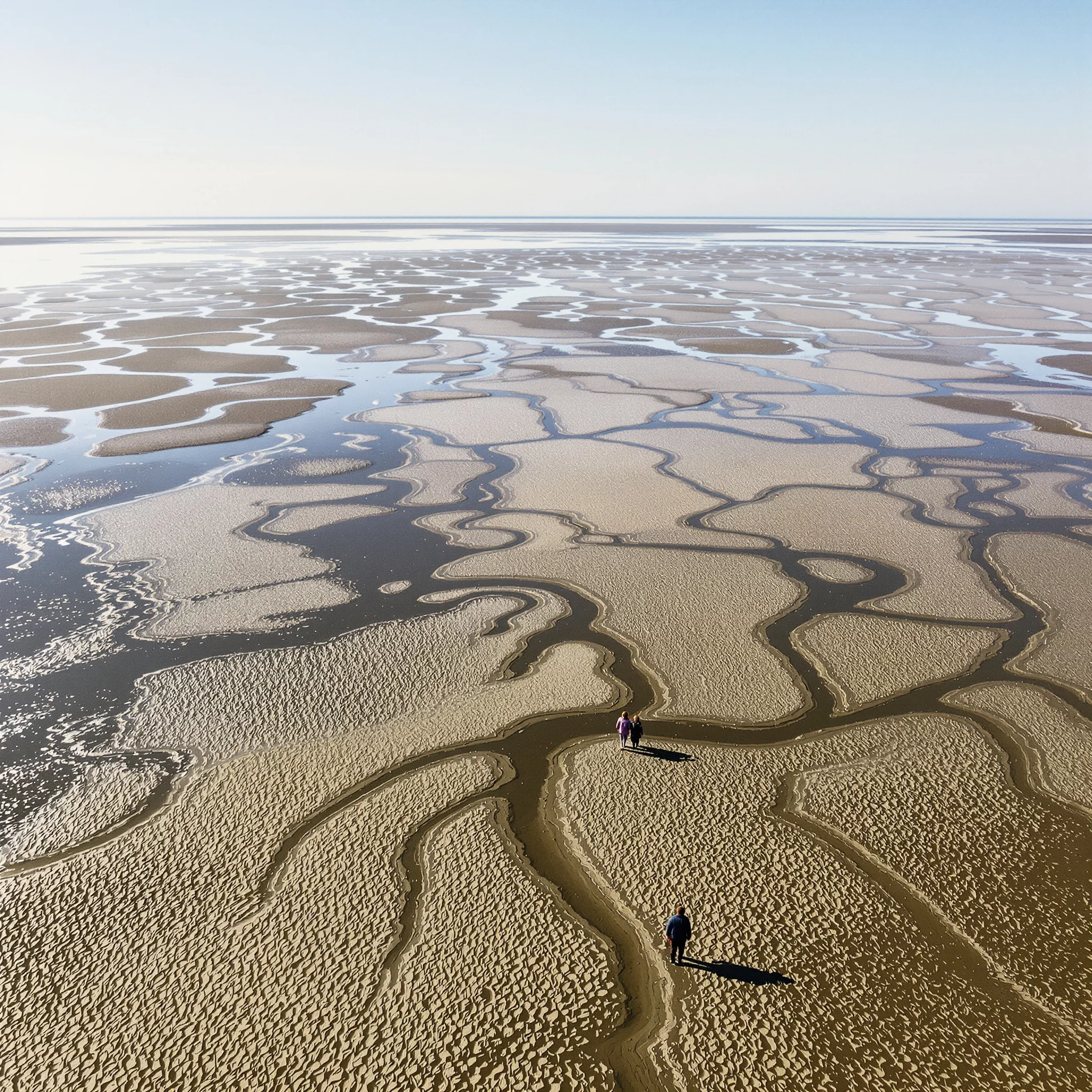 Robben, D&uuml;nen und Museen: Nordsee zum Staunen