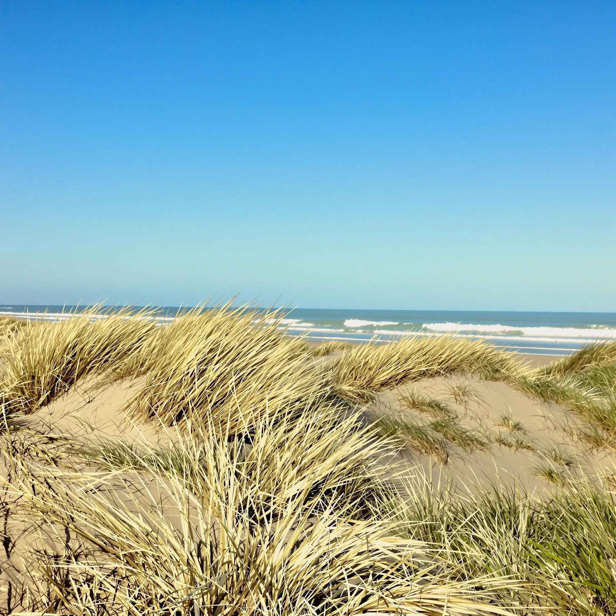 Sankt Peter-Ording: Wo Sand, Meer und Freiheit sich treffen