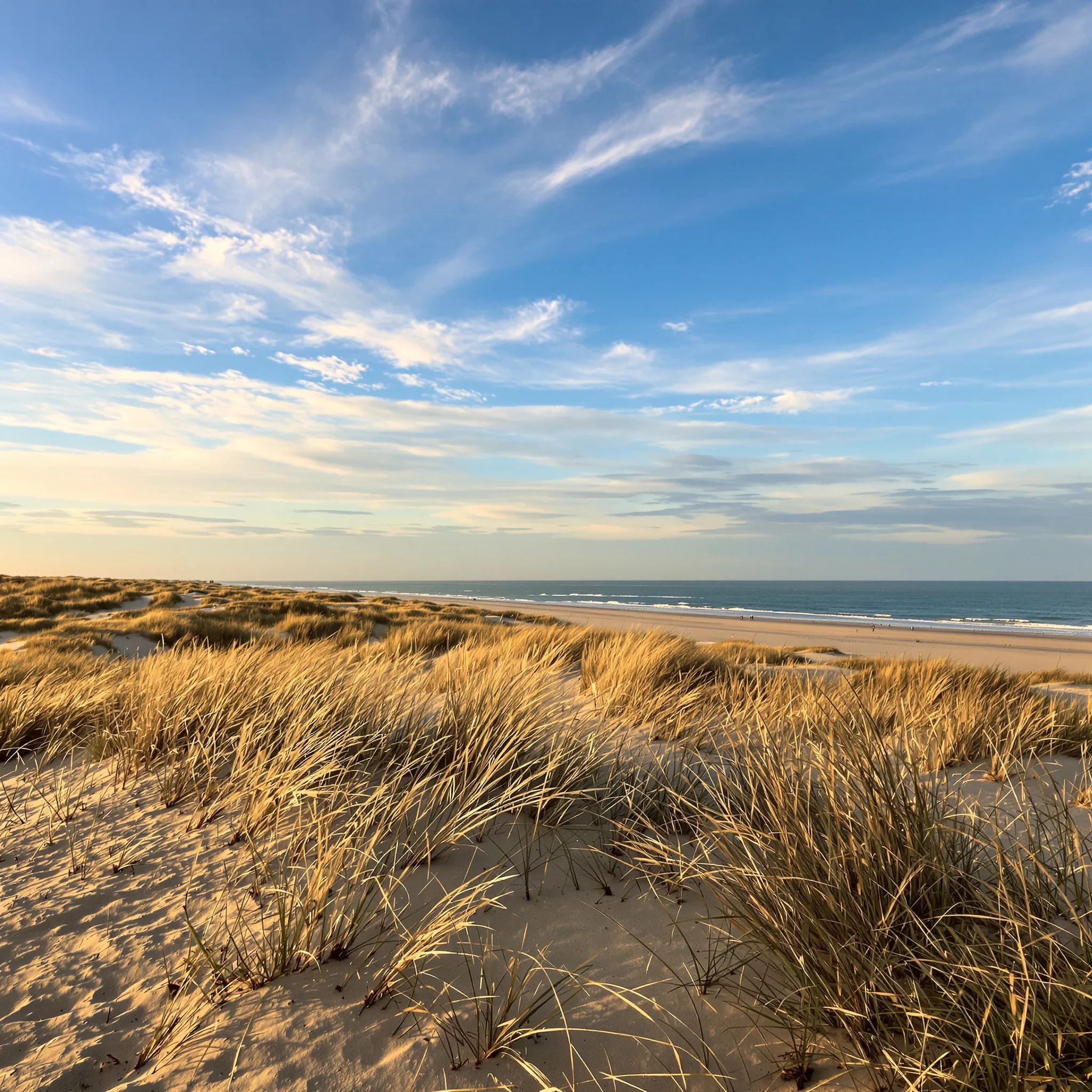 Inselglück pur: Von Juist bis Borkum