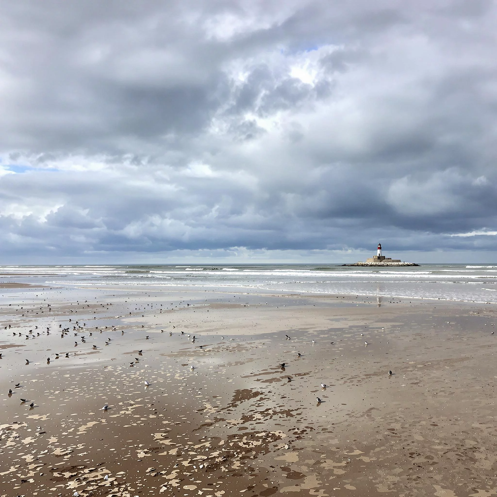 Flut, Ebbe und Vogelzug: Das Leben im Rhythmus der Gezeiten – DAS Nordsee Magazin