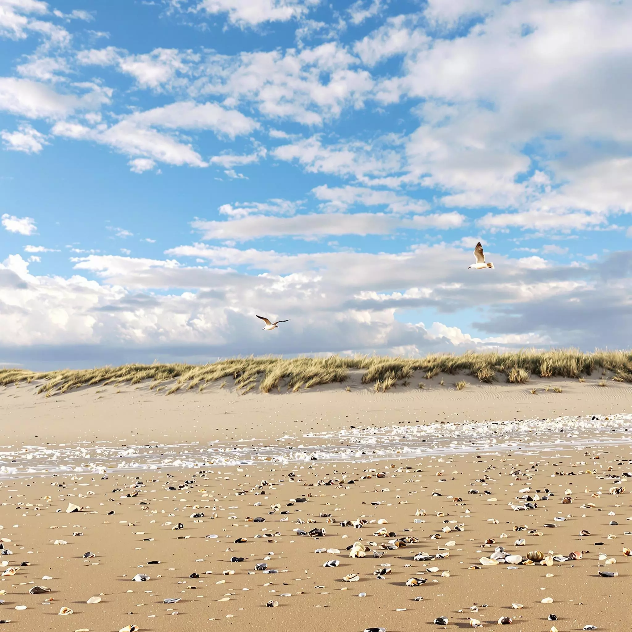 Nordseeoase Baltrum - Ruhe und Naturverbundenheit