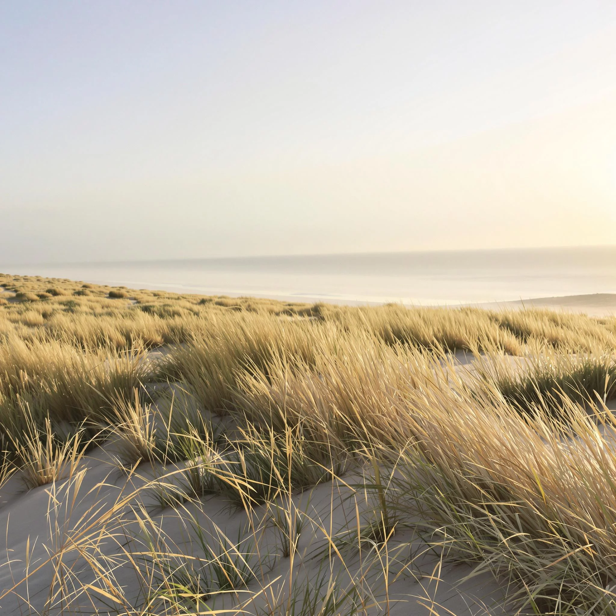 Von Juist bis Sylt: Welche Insel passt zu welchem Typ?