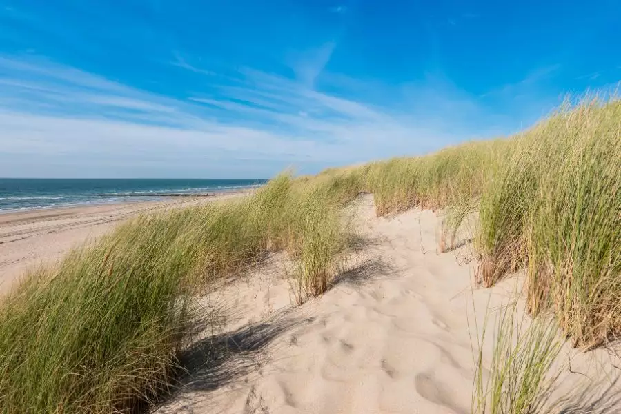 Entdeckungstour durch die Wattenmeer Nationalparks