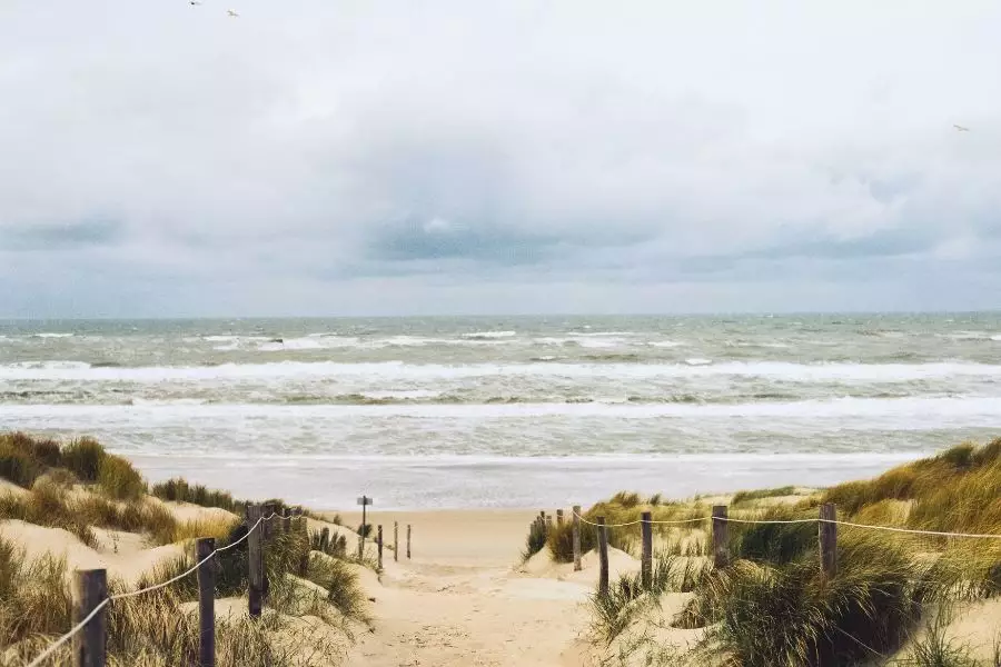 Besuch des Wattenmeeres und Entdeckung seiner einzigartigen Tierwelt