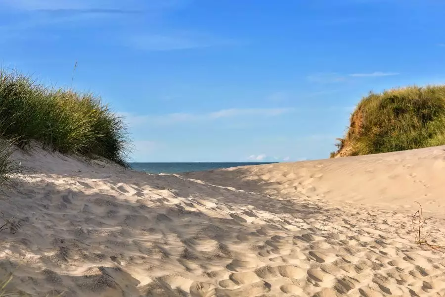 Sightseeing - Vogelbeobachtung - Dünenlandschaften