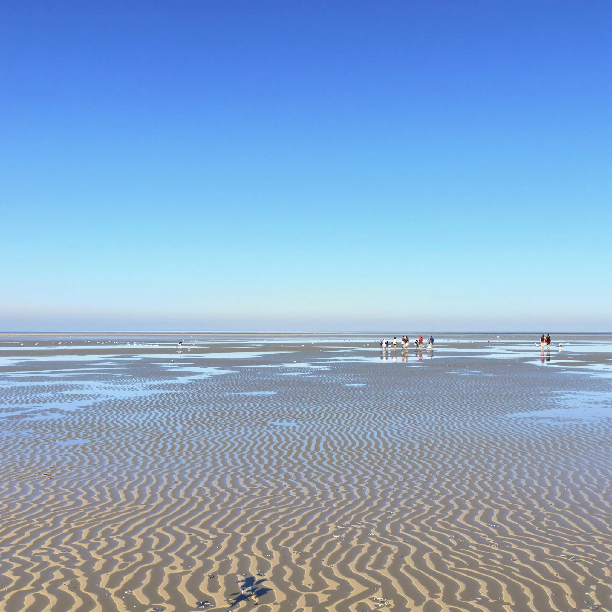 Jever - Die Bierstadt der Nordsee besuchen