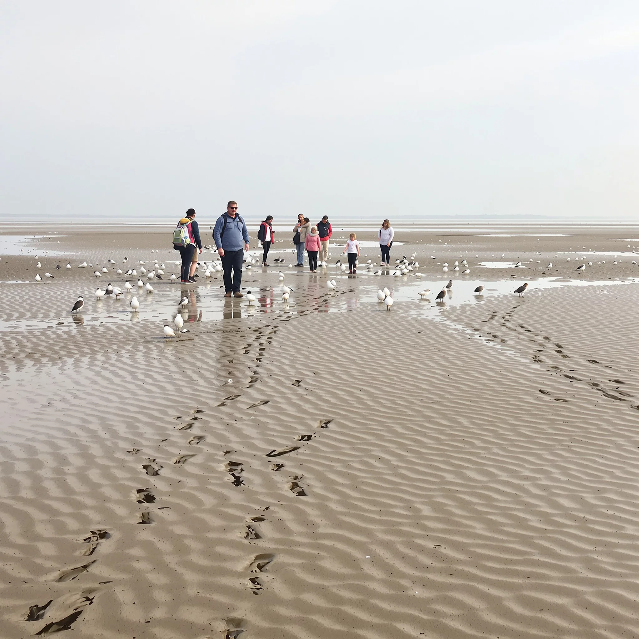 Sehenswertes zwischen Ebbe und Flut