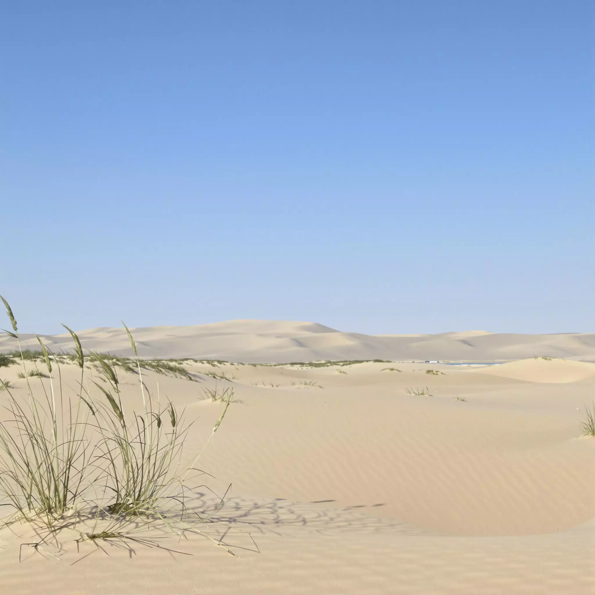 Amrum - Ein Juwel unter den Nordfriesischen Inseln
