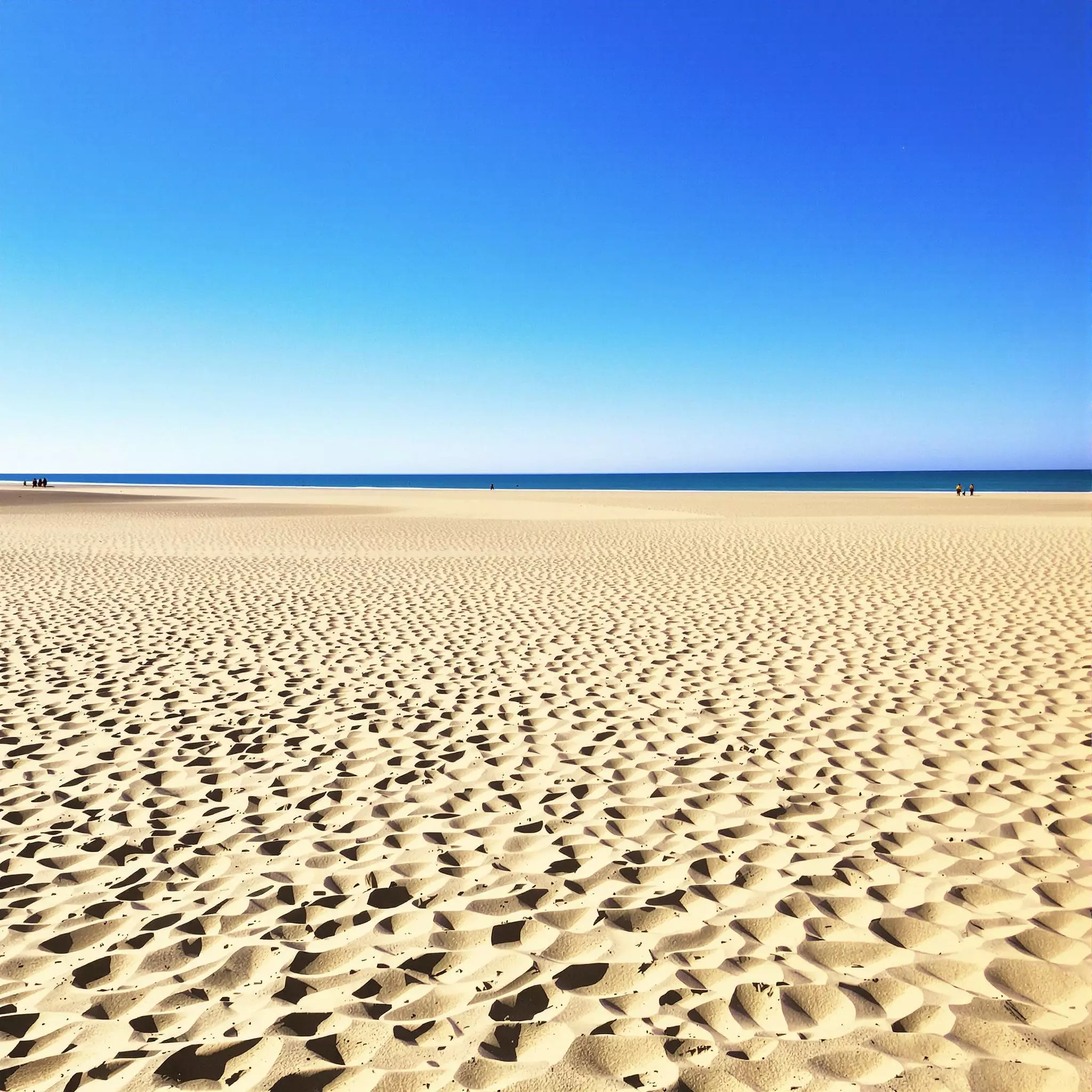 Nordseeinseln entdecken