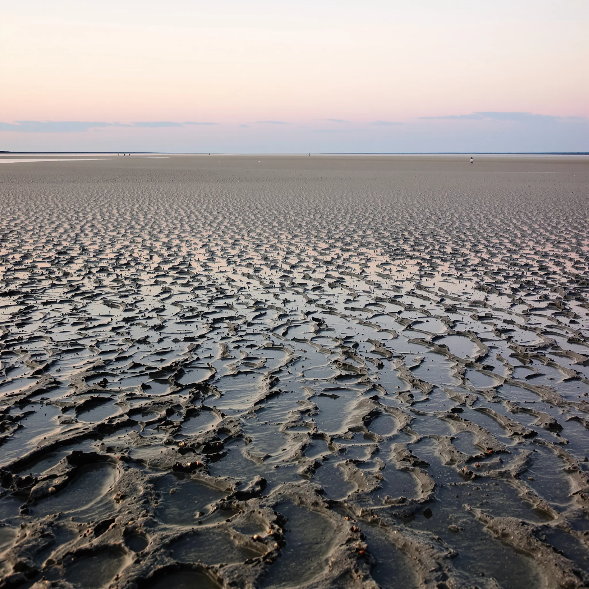 Nordsee-Wunder: Kultur, Natur und maritimes Erbe