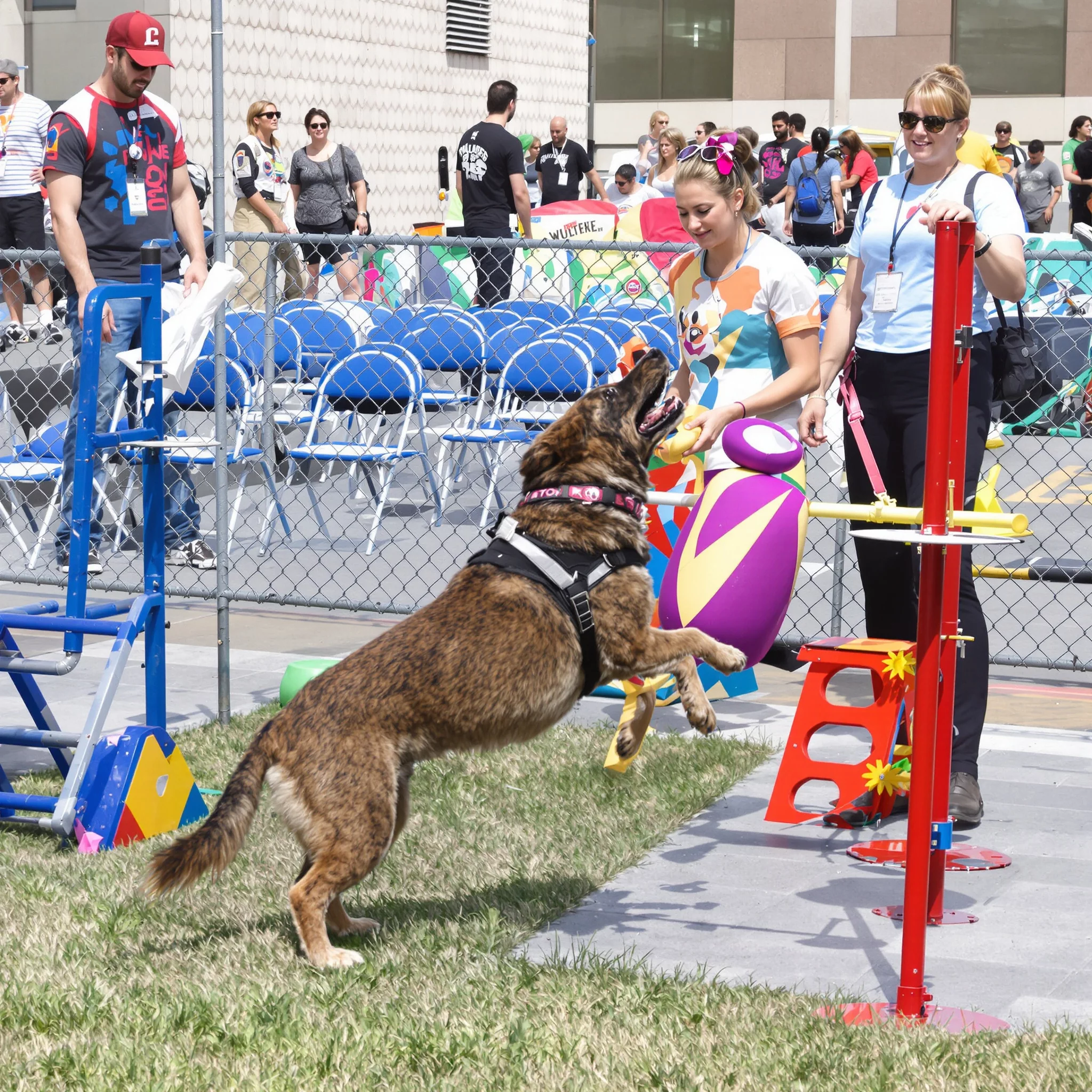 Hundesport – Sport & Spaß für Mensch und Hund