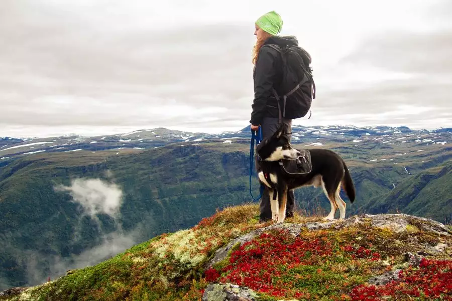 Berge und Seen - Badeseen - Erste Hilfe für Hunde