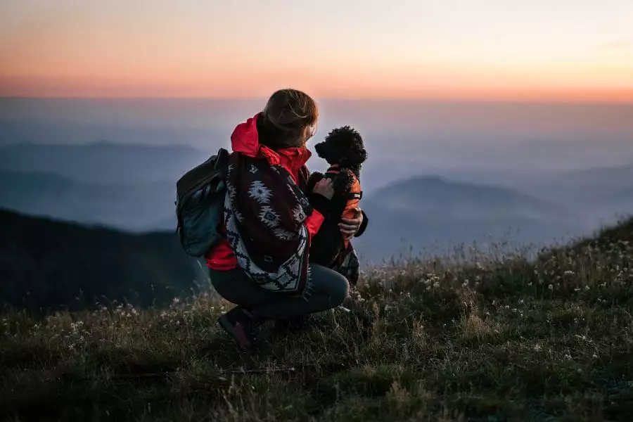 Berge und Seen - Pfotenpflege - Kühle Rückzugsorte