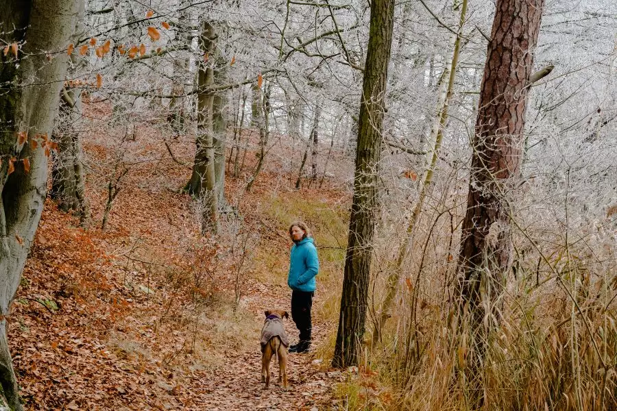 Biberfloß, Wandern, Hund, Outdoor-Aktivitäten, Naturerlebnis, Hundeleinenpflicht