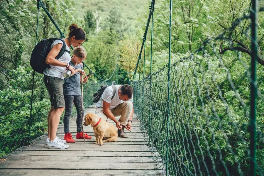 Geheimtipps für Hundeurlaub in Deutschland - Versteckte Paradiese
