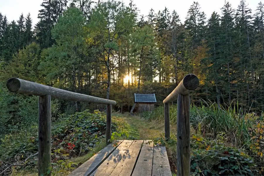 Hundeurlaub Bayerischer Wald Wellness mit Hund