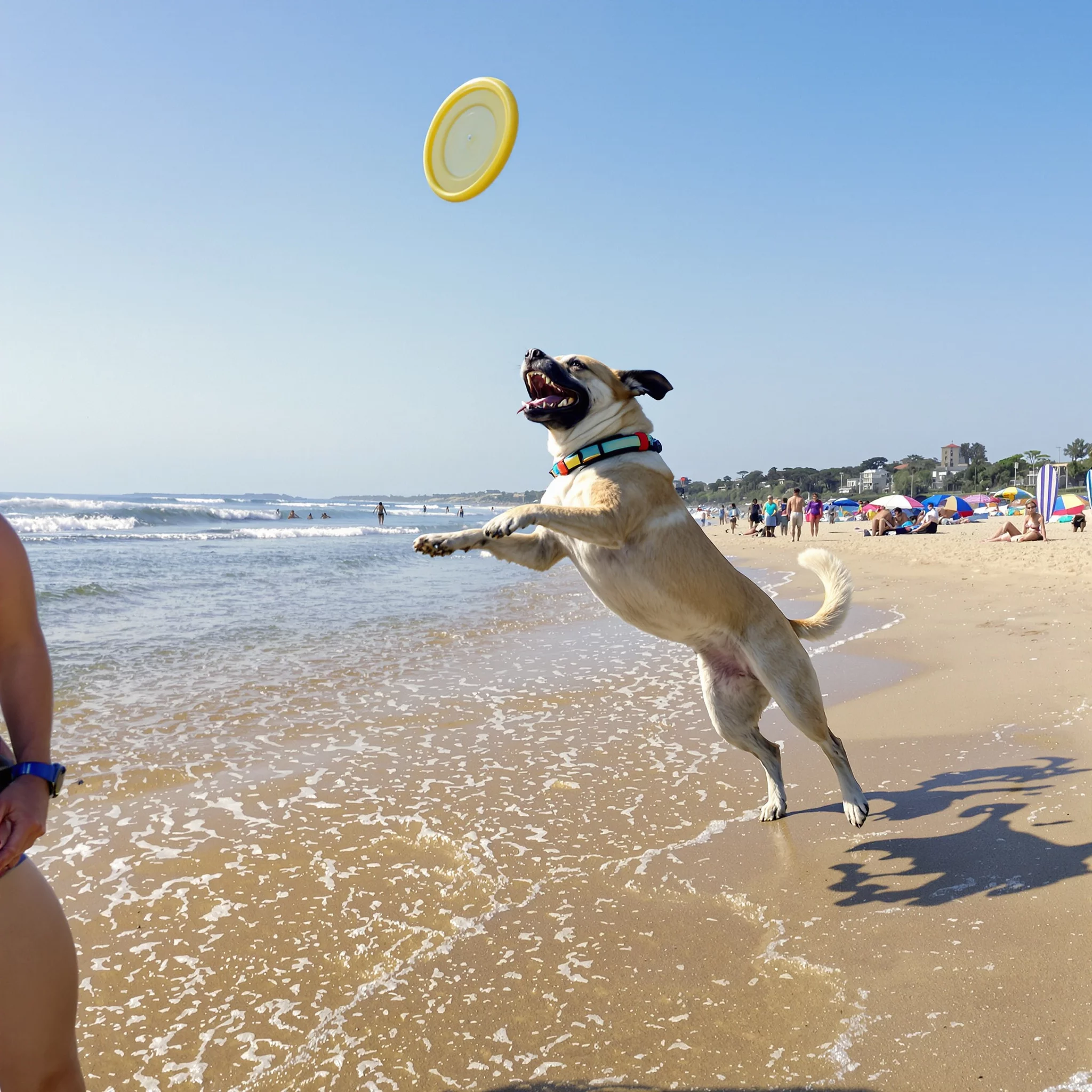 Hundestrände in Italien: Urlaub mit Hund am Meer und See