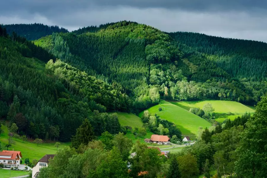 Naturerlebnis, Kinderfreundlich, Outdoor, Labrador, Erholung. magazin (2)