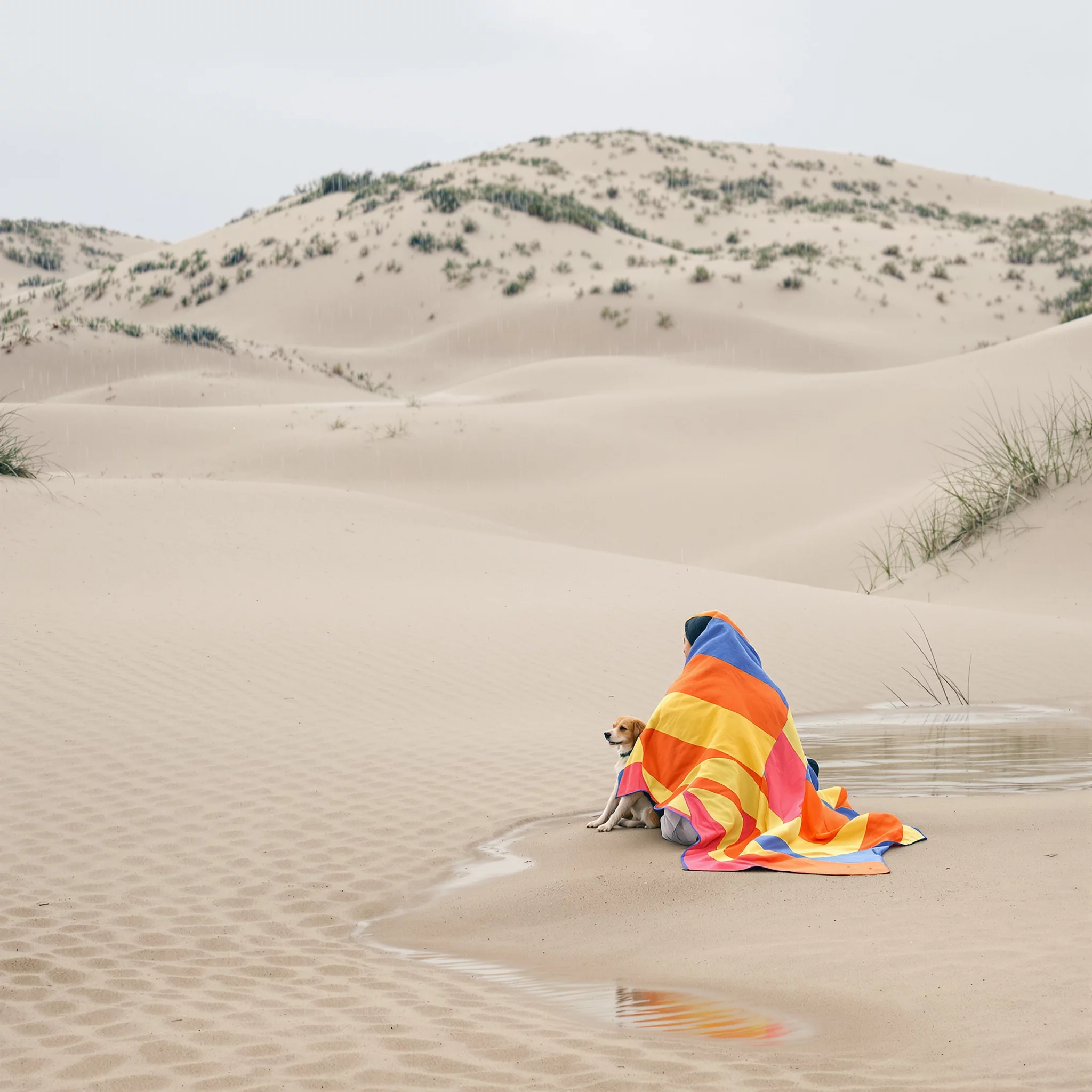 Herbsturlaub am Meer – Urlaubsspaß für Hund und Herrchen