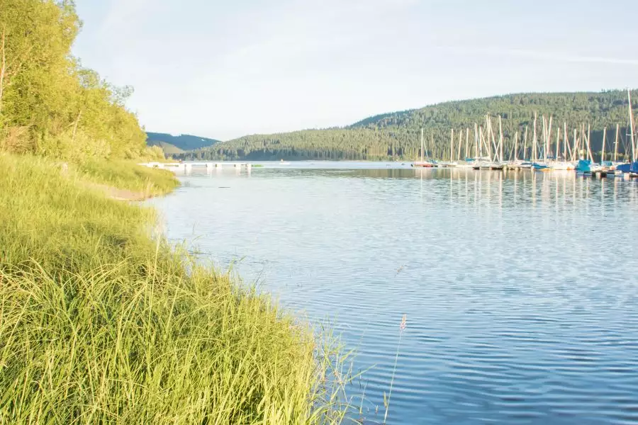 Familienurlaub mit Labrador am Schluchsee - Ein Traum für Outdoor-Fans