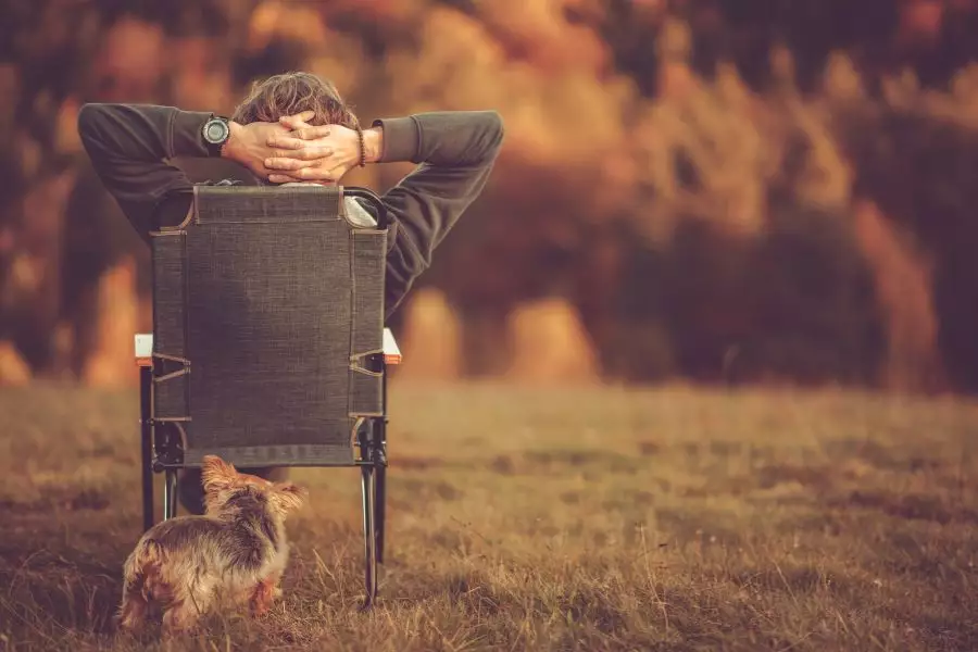 Stressfreier Familienurlaub mit Hund: Tipps & Idee