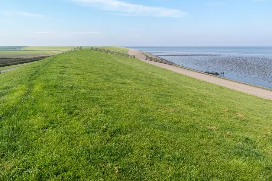 Urlaub mit dem Hund in Norddeich an der Nordsee