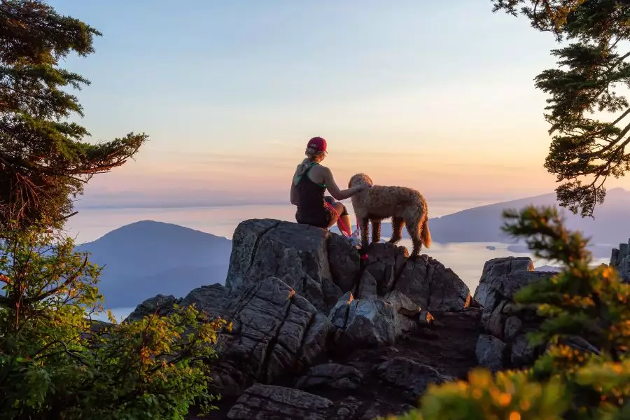 Wanderfreuden mit Labrador in Deutschlands Natur